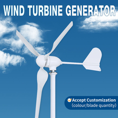 600W Wind Turbine Generator 3 Blades Wind Driven Generators custom Size