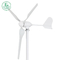 12V 24V 600W Wind Turbine Generators 3 Blades Custom Size