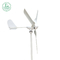 Home 600W 12V 24V Wind Turbine Wind Generators Compact Structure