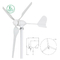 600W Small Wind Turbine Generator Vertical Blade Triangular Double Fulcrum